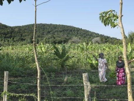 Global race for rare earths comes to Kenya's Mrima Hill